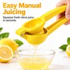 Manual Lemon Squeezer for Fresh Citrus Juice – Handheld Metal