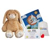 Create Your Own Flopsy The Bunny, a Beary Fun Friend