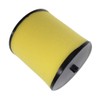 USPEEDA Air Filter Cleaner Element for TRX250 TRX250X TRX250EX Recon