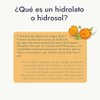 HEBBE - Hidrolato de Caléndula 1 L | Mejora Apariencia