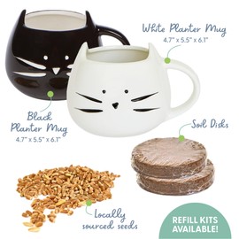 The Cat Ladies Cat Grass Growing Kit with Organic Cat Grass Seed Mix, Soil and Two Cat Grass Planters. Perfect Cat Gifts for Indoor Cats