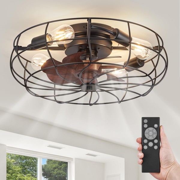 LEDIARY LEDIARY 20" Caged Ceiling Fans with Lights and Remote,