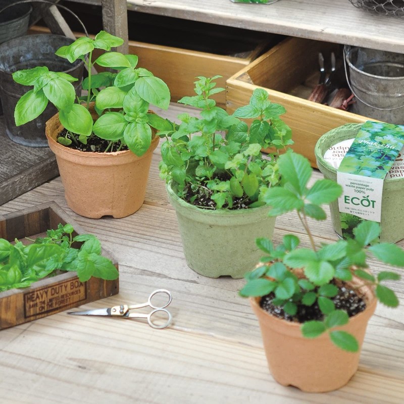 Ecot Planting Kit and Pot