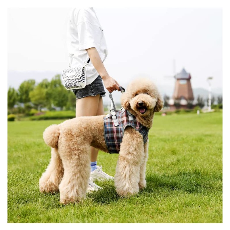 XTrador Dog Harness Walking Aid for Dogs Especially for Problems