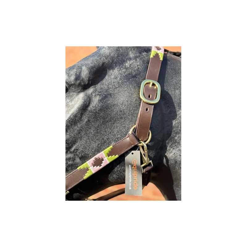 Argentina Polo Leather Horse Headcollar Halter, Embroidered, Rose Pink /Green