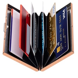 NTEK Slim Aluminum RFID Card Holder, Ultra-Thin Stainless Steel Card Wallet, Men Credit Card Holder Wallet, Men & Women Best Card Protector with 6 Slots