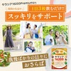 santelife サラシア16200 サラシア イヌリン 難消化デキストリン 桑の葉 ウコン 菊芋 乳酸菌 ナットウキナーゼ