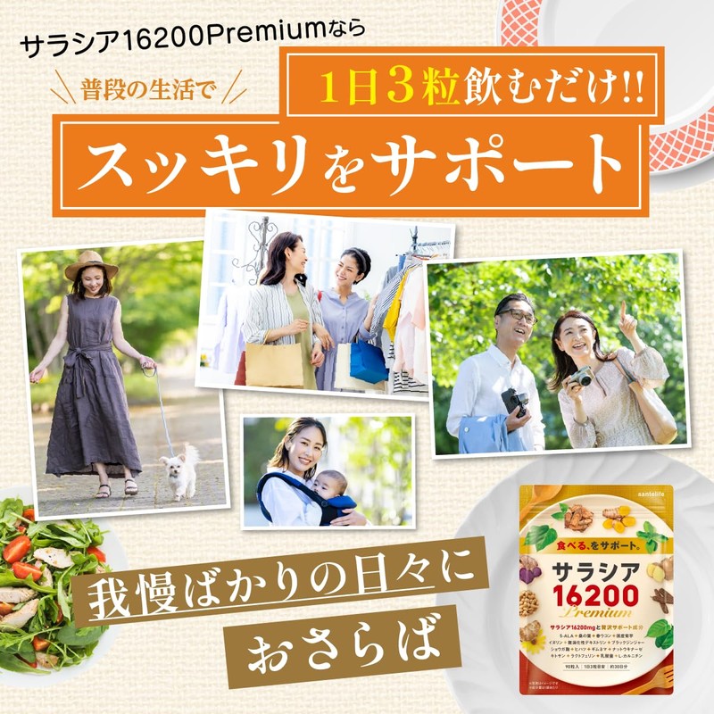 santelife サラシア16200 サラシア イヌリン 難消化デキストリン 桑の葉 ウコン 菊芋 乳酸菌 ナットウキナーゼ