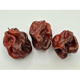 Jamaican Chocolate Habanero Pepper Seeds 10+ Seeds