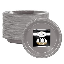 Exquisite Plastic Dessert/Salad Plates - Solid Color Disposable Plates - 100 Count (10 Inch., Silver)