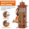 Metal Squirrel Proof Bird Feeder,Bird Feeders for Outdoors,Weight Activated Squirrel