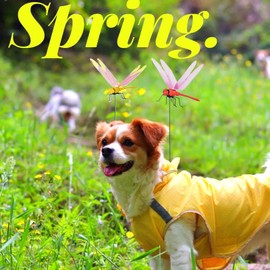 Kleeblatt Dragonfly Clip Bug Repellent 12pcs - DIY Dragon Fly Clips for Bugs Repellent, Hair Accessories, Garden Decor, Outdoor Decorative Stakes - Ideal for Garden & Patio Enhancement (in Bags)