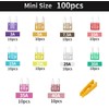 XJlSGXUSG XJlSGXUSG 100 Pcs Mini fuses Kit, Blade Fuse Assortment