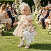 Flower Girl Basket Set of 3, with Pearl Handle &