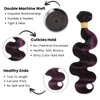 ALHER Black Mix Dark Burgundy Highlight Bundle Human Hair Body