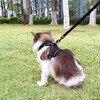 pangdi Cat Harness and Leash Set Escape Proof Tactical Extra