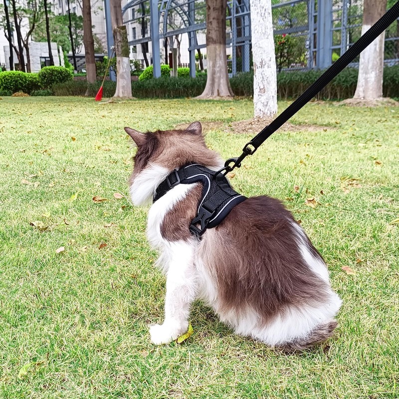 pangdi Cat Harness and Leash Set Escape Proof Tactical Extra