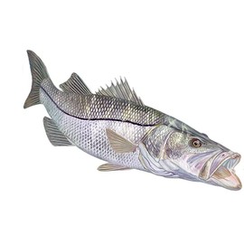 10"X4" Skiff Life Custom Snook Fish Stickers Mangrove Monster Florida Stickers Vinyl - Car Decal - Large Vinyl Sticker Bumper Stickers - car Stickers for Trucks - Window Stickers for Trucks