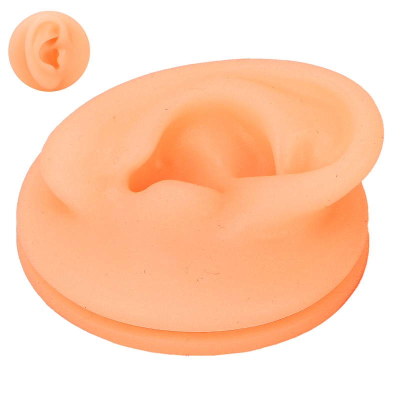 Silicone Ear Acupuncture Practice Model Reusable Simulation Ear Display Model