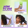 Garnier Fructis Style Curl Sculpt Conditioning Cream Gel for Bounce
