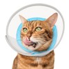 Cat Cone Collar Soft: Comfortable Waterproof Mesh Recovery Cone After