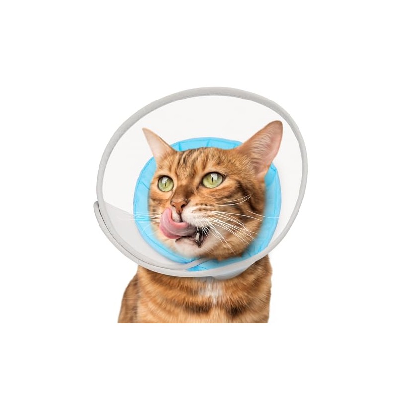 Cat Cone Collar Soft: Comfortable Waterproof Mesh Recovery Cone After