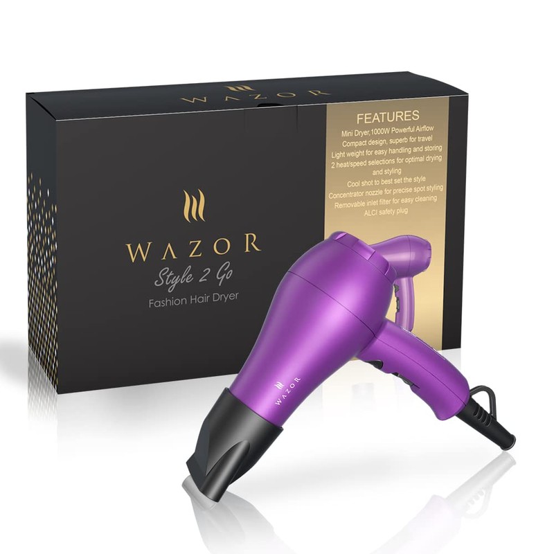 Lightweight Mini Hair Dryer for Pour Painting & RV Compact