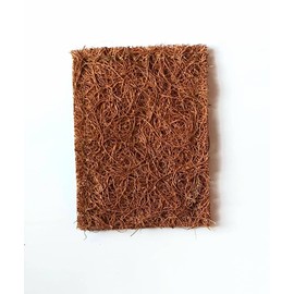Bare & Co. - Coconut Scrub Sponge - Large