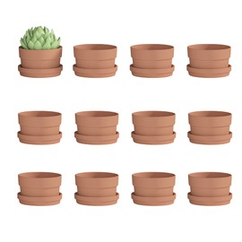 Fcacti 3.5 Inch Terracotta Shallow Succulent Pot - 12 Pack Small Terra Cotta Clay Pots with Saucer, Cacuts Terra-Cotta Indoor and Outdoor Planters with Drainage Hole
