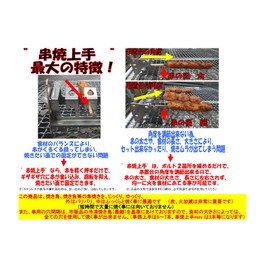 Safe Made in Japan! Excellent Skewers 10.0 inches (255 mm) Width (Excluding Screws), All Stainless Steel Barbecue Skewers Stand, Perfect for Grilled Fish, Adjustable Angle, Easy to Install