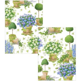 Caspari Potted Hydrangeas Boxed Note Cards - 8 Cards And 8 Envelopes Per Package