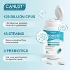 100 Billion Probiotics CFU Potency Gut Health Women Men 60
