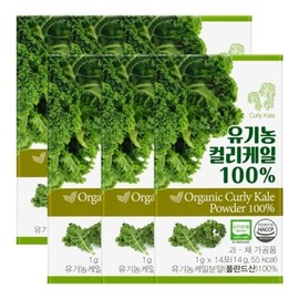 Polish Organic Curly Kale 100 14 packs x 6 pcs 23080476673596 / 폴란드 유기농 컬리케일 100 14포X6개23080476673596