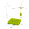 Boon Grass Countertop Drying Rack Bundle - Includes Grass, Stem,