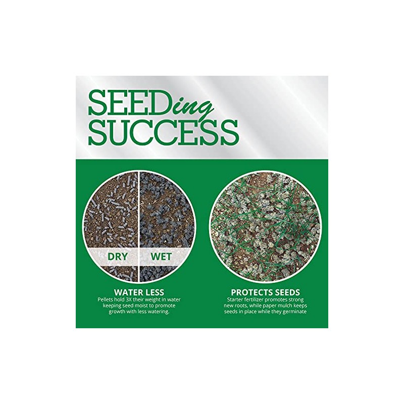 Greenview Fairway Formula Seeding Success (18 lb.) Fertilizer