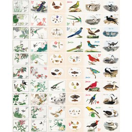 PIXILUV 60 pack of small Thank You Cards ~ Wings of Wonder: Birds, Insects, and Flowers in Detailed and Elegant Natural Illustrations