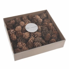 100 Bulk Box 3-5 cm Natural Pine Cones in Clear tub