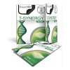 T-synergy Patch T-synergy Parche Pack 30 Piezas