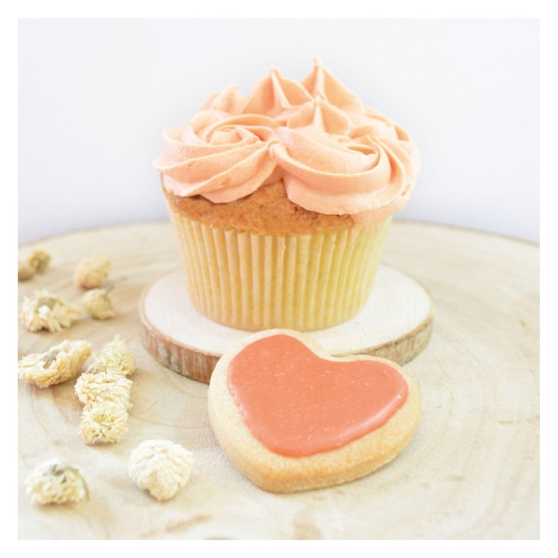 Food Colouring in Powder Form of Natural Origin 10 g