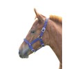 Shires Foal Nylon Headcollar Royal