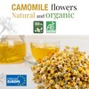 ORIGEENS - 30 Chamomile Tea Bags - Organic Camomile Tea
