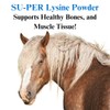 SU-PER Lysine Supplement for Horses - Supports Healthy Bones &