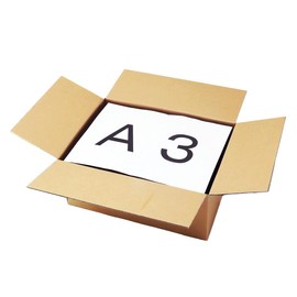 Earth Cardboard, Cardboard, 100 Sizes, Set of 10, Cardboard, 100, A3, Shallow Type, Moving, Packaging, ID0493