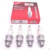 Champion Spark Plug H10C (4)