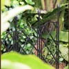 Plug in Small Flower Screen Flower Stand Climbing Vine Stand