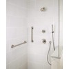 Delta Contemporary (1-Pack) 18' Shower Grab Bar ADA Compliant Matte