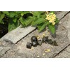 Jet International Beautiful A ++ Labradorite 7 Stones Holy Geometry
