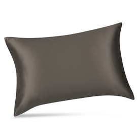 ALASKA BEAR 100% 19 Momme Mulberry Silk Pillowcase, 50x75 cm, Both Sides Silk, 600 Thread Count, Hypoallergenic Pillow Shams Cover for Skin Health with Hidden Zipper (1pc, Charcoal grey)