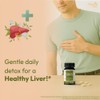 ORGANIC SPREE Kaishor Guggulu 120 Tablets - Ayurvedic Formulation -