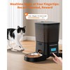 HoneyGuaridan Automatic Cat Feeder for 2 Cats, Automatic Cat Food